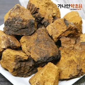 가나안약초 러시아산 차가버섯, 1개, 500g, 500g