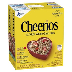 제네럴밀스 Cheeios Whole Gain Oats 2개입, 1개, 1.1kg