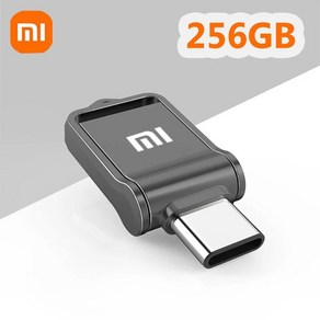 샤오미 호환용 USB 3.2 고속 C타입 인터페이스 휴대폰 컴퓨터용 이중 사용 플래시 메모리 스틱 2TB 1TB 512GB, Black 256GB, 1개