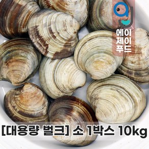 살아있는 활 백상합 10kg 소 (대용량 백생합 중국 냉장조개 생물조개 살아있는 조개 활조개 조개구이 조개찜 백합조개 업장용 도매용)