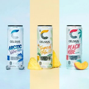 셀시어스 CELSIUS Spakling Topical Vibe 에너지 드링크 4팩 12온스 체중 감량 또는 운동 208694, 355ml