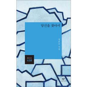 당신을 찾아서:정호승 시집