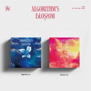 [저스트두잉] QWER큐더블유이알-미니앨범 2집 : Algorithm's Blossom 포토북