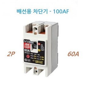 진흥전기 단상 배선용차단기 산업용 JBE-102P 배선차단기 100AF MCCB, 1개