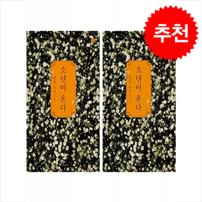 [큰글자도서] 소년이 온다 1 2 세트, 창비, 한강
