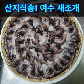 [천상의맛] 쫄깃 탱글 자연산 완전손질 초코새조개 여수 새조개 250g(손질) 1개, 900g(손질) × 1개