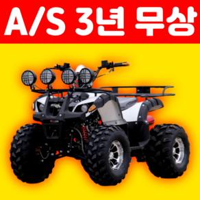 파워트랙 250cc 고출력 ATV 사발이 버기카 산악 오토바이 농장 과수원 시골 귀농