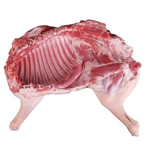[대국맛짱] 청정지역 보신용 냄새없는 껍데기있는 염소고기 (암컷) (일요일&당일발송), 1개, 5kg