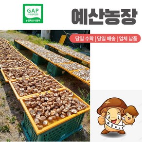 GAP인증 <표고버섯 /봉> (동고) 말린 건표고버섯 다시용 / 국물용/육수용 행사이벤트, 1개, 200g, 건 (통)표고버섯