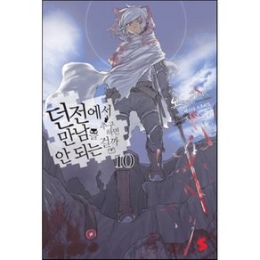 던전에서 만남을 추구하면 안 되는 걸까 10, 소미미디어, S노벨(S novel)