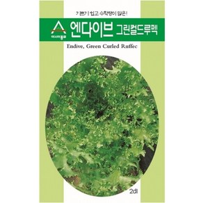 [아시아종묘/치커리종자씨앗] 엔다이브 그린컬드루펙(1500립), 1개