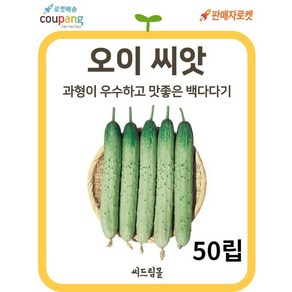 씨드림몰 백다다기 오이 씨앗 은성 종자 50립, 1개