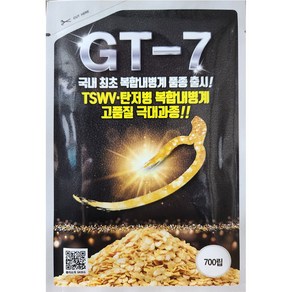 지티세븐고추 GT-7 700립 농우 24년 고추 씨앗 고추종자, 1개