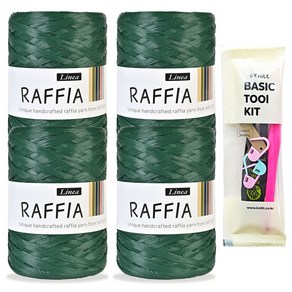 진텍스 라피아 뜨개실(40g)x4볼+뜨개기본도구(6/0호), 433_딥그린, 1개