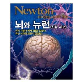 NEWTON HIGHLIGHT 뉴턴 하이라이트 119 뇌와 뉴런 (신경세포)