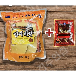 영지버섯 1kg