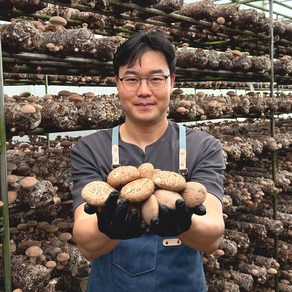 [우아한버섯농장] GAP인증 표고버섯 무농약 생표고버섯 상품 / 실속형(중품), 1개, 생표고버섯 1kg (상품)