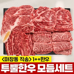 마장동직송 최고급 한우 1++ 투쁠 모듬세트, 800g, 1개