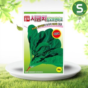 솔림텃밭몰 시금치씨앗 25g 킹오브덴마크시금치 쌈채소 만추대성, 1개