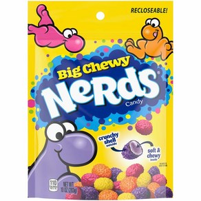 Neds Big Chewy Candy 283.5g(10oz), 1개, 283g