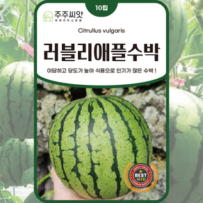 [주주씨앗] 러블리 애플수박씨앗 10립 채소시앗 애플수박씨 미니 작은 수박씨앗, 1개