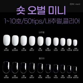 네일아트판 리필팁 숏오벌 미니 네일팁 50tips, 1개, 클리어