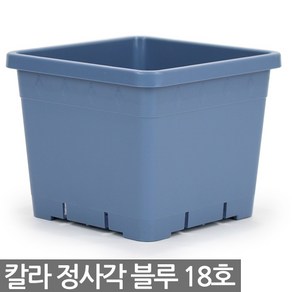 플라스틱 정사각화분 블루 - 식물 칼라 플분 사각 화분 분배분 재배분 분갈이 인테리어 베란다 화분, 05_세인_칼라정사각_18호(블루)