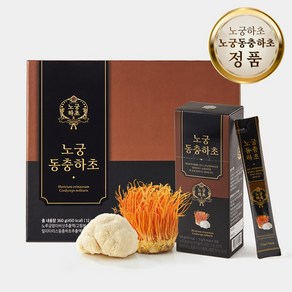 [노궁하초] 노궁동충하초 노루궁뎅이 버섯 + 동충하초 배합 엑기스 농축액, 12g, 1박스