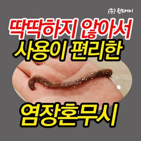 염장 혼무시 쫀쫀혼무시 소포장 국산 참갯지렁이 바다낚시 미끼