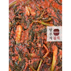 정지현식품 맛있게 익은 숙성 파김치, 1개, 1kg