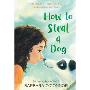 How to Steal a Dog:- '개를 훔치는 완벽한 방법' 원작 소설, Squae Fish