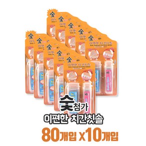 숯첨가 이편한 치간칫솔(이쑤시개) 80개x10개 프라그제거 잇몸건강, 10개, 80개입