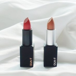 콰티 마이무드 벨벳 매트 립스틱 Velvet Matte Lipstick 매트립 선명한 발색 가볍게 밀착 지속력강화, 1개, 3.5g, 무드 뮤트