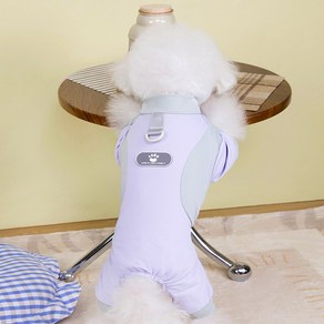파스텔펫 반려동물 파스텔 배색 메쉬 올인원, 퍼플, 1개