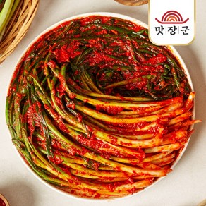 맛장군 오늘담근 파김치, 1개, 1kg