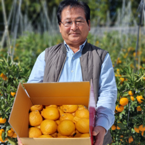 제주 서귀포 맛있는 한라봉 가정용/선물용, 1박스, 한라봉 2.5kg 대과 가정용