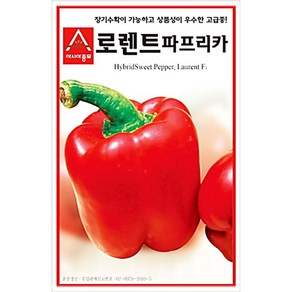 로렌트파프 파푸리카 좋은 파프리카 로렌트 종자 상품성이 씨앗 EWC1313A, 1개