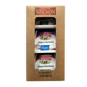 코스트코 SOIGNON 스프레더블 치즈 140Gx3 냉장, 단품, 140g