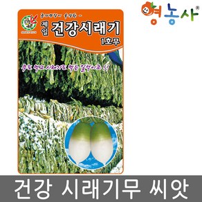 건강 시래기 무 씨앗 30g 무우 씨 무청 종자, 1개