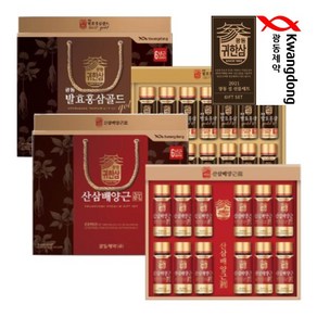 광동 발효 홍삼 골드 / 산삼 배양근 100ml 10병 / 14병, 1세트