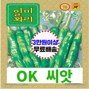 [OK씨앗] [신일미꽈리고추] 꽈리고추씨앗 종자(오케이씨앗), 13000개