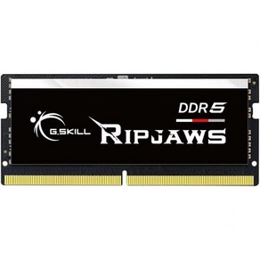 G.SKILL 립조스 DDR5 SODIMM 시리즈 RAM 32GB 1x32GB 5600MTs CL46454589 1.10V 비버퍼링 NonECC 노트북노트북 메모리 F55600