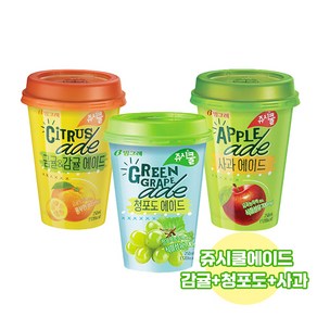 빙그레 쥬시쿨에이드 250ml 감귤에이드4+청포도에이드4+사과에이드4/무료배송, 1개