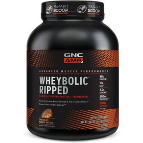 지앤씨 GNC AMP Whey 포뮬러 BCAA 단백질 분리 프로틴 22인분 초콜릿, 1개