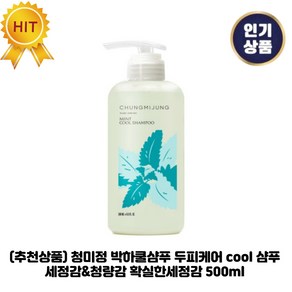 추천상품) 청미정 박하쿨샴푸 두피케어 cool 샴푸 세정감&청량감 확실한세정감, 1세트