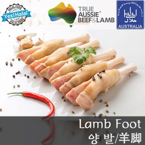 Yes!Global 양발 양족 Lamb Foot Feet (1.5Kg 할랄 Halal), 1개, 1.5Kg