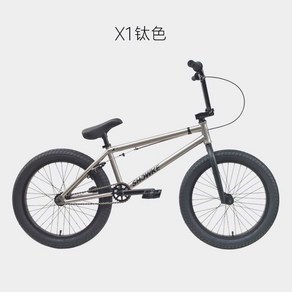 자전거 BMX 비엠엑스 입문용 선데이 크로몰리 고급형 스포츠 SHOWKE20, A. 그레이, 1개