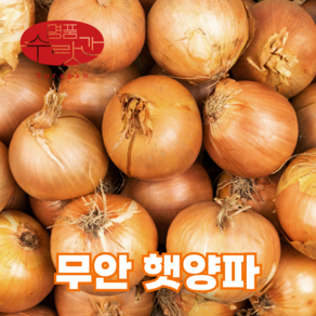 명품수랏간 24년 국내산 아삭하고 단단한 전남 무안 햇양파, 1개, 2kg (소)