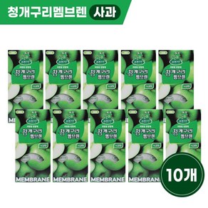 청개구리 멤브렌 방향제 사과 x10개