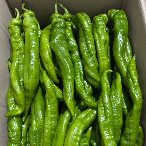 금성식품 중국고추 라사고추1kg, 1개, 1000g